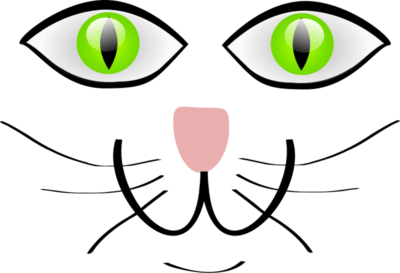 cat-face