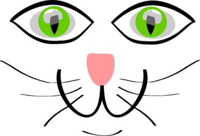 cat-face-6-colors