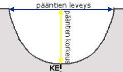 paantien-muoto-o