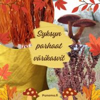 Cream And Orange Simple Welcome Autumn Instagram Post