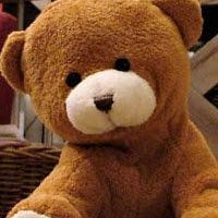 Ted