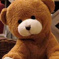 Ted