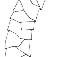 j2k5lkmv.ema2