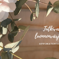 kuva_2021-05-07_180545